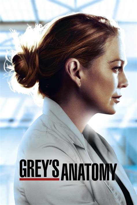 the grey's anatomy online sa prevodom